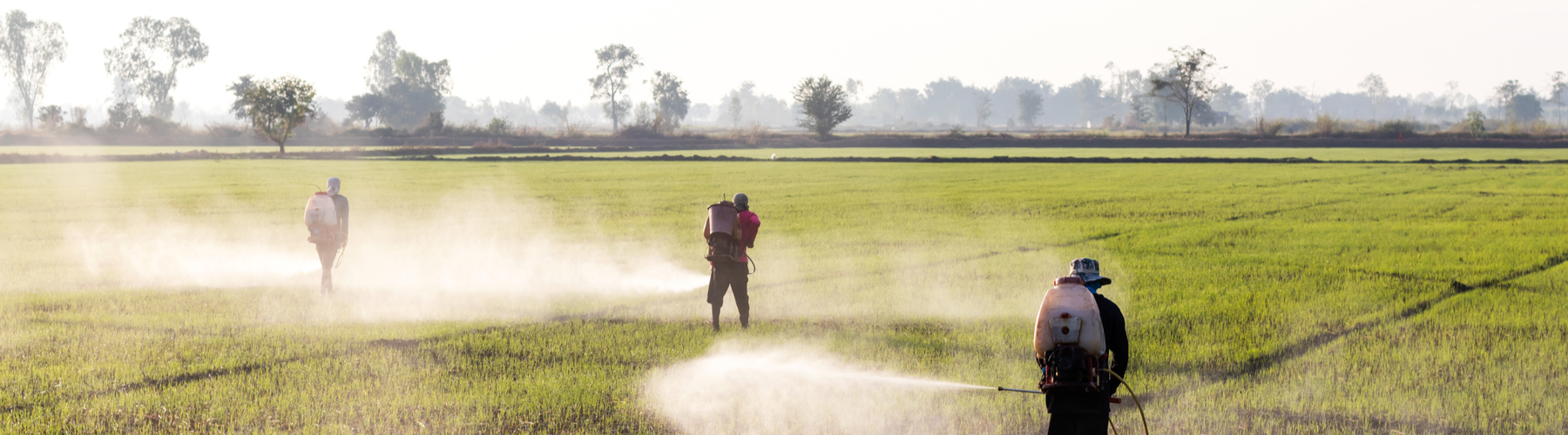 men spraying chemicals on field
