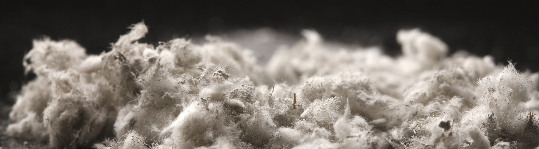 close up of asbestos