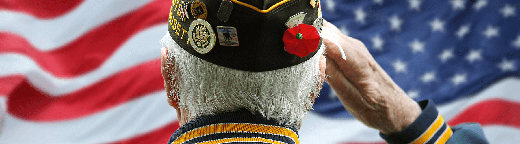Elderly military veteran salutes the flag