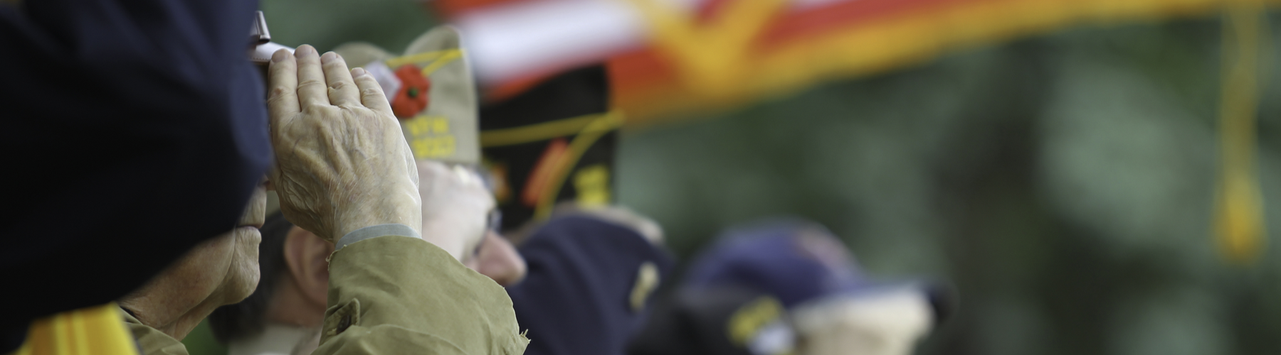 veterans of all military branches saluting flag