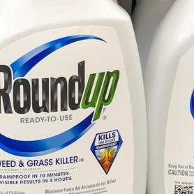 Bottles of Roundup at the store