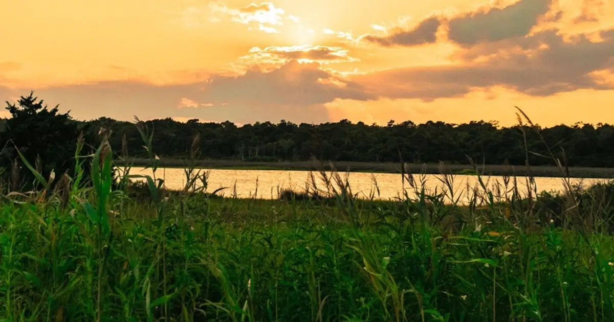 View of lake from grass