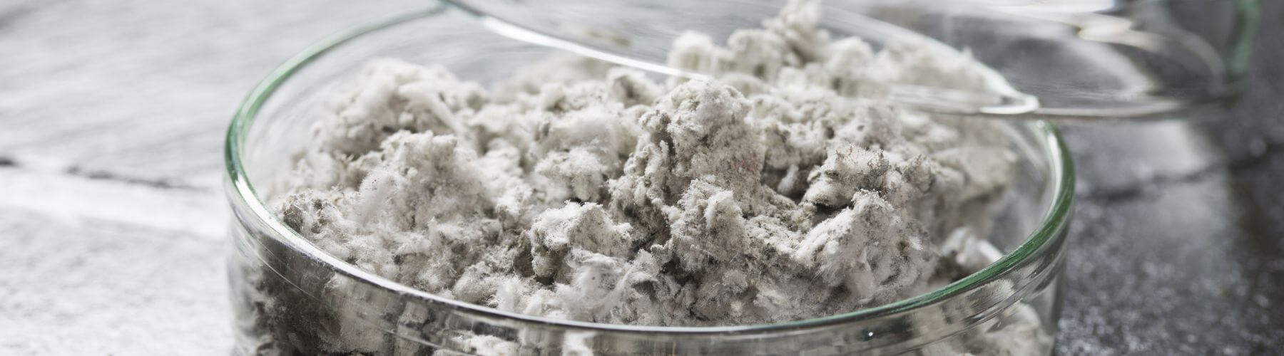 The Health Effects of Asbestos Exposure