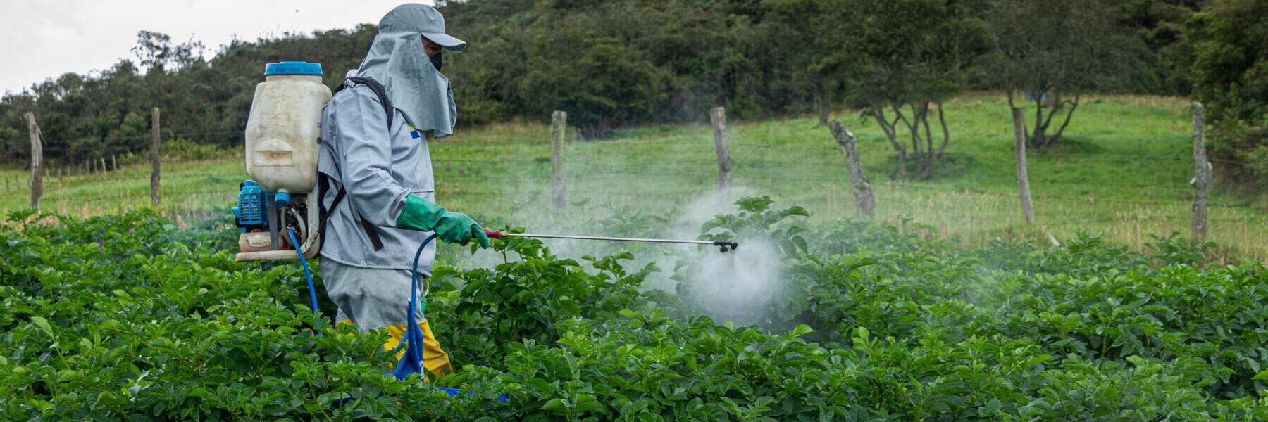 How Do I Know If I Was Exposed to Paraquat?